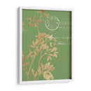 Hojas De Vegetación I - Jennifer Goldberger | Cuadro decorativo de Canvas Lab