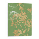 Hojas De Vegetación Ii - Jennifer Goldberger | Cuadro decorativo de Canvas Lab