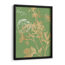 Hojas De Vegetación Ii - Jennifer Goldberger | Cuadro decorativo de Canvas Lab