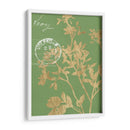 Hojas De Vegetación Ii - Jennifer Goldberger | Cuadro decorativo de Canvas Lab