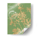 Hojas De Vegetación Ii - Jennifer Goldberger | Cuadro decorativo de Canvas Lab