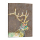 Fauna Rústica Ii Ii - Jennifer Goldberger | Cuadro decorativo de Canvas Lab