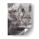 Tu Año Ii - Jennifer Jorgensen | Cuadro decorativo de Canvas Lab