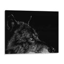 Scratchboard Wolf I - Julie T. Chapman | Cuadro decorativo de Canvas Lab