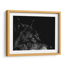 Scratchboard Wolf I - Julie T. Chapman | Cuadro decorativo de Canvas Lab