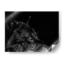 Scratchboard Wolf I - Julie T. Chapman | Cuadro decorativo de Canvas Lab