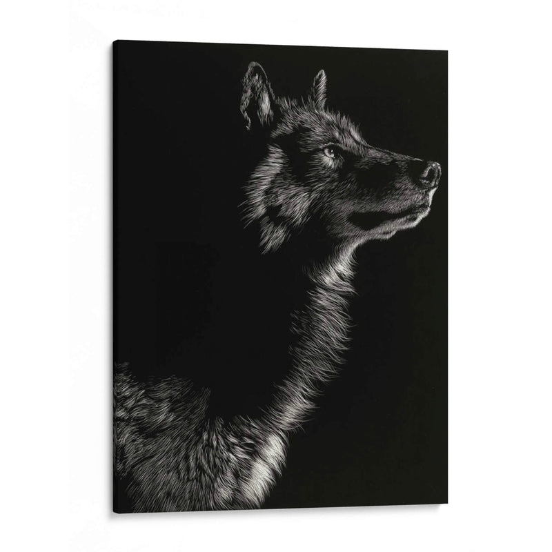 Scratchboard Wolf Ii - Julie T. Chapman | Cuadro decorativo de Canvas Lab