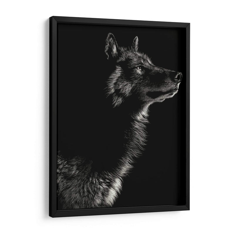 Scratchboard Wolf Ii - Julie T. Chapman | Cuadro decorativo de Canvas Lab