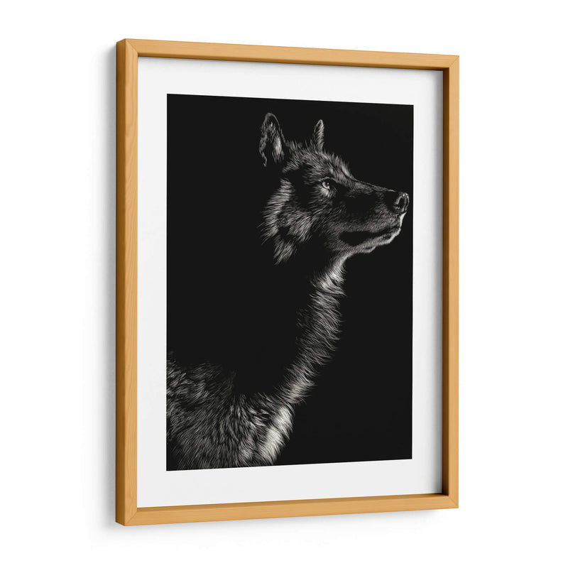 Scratchboard Wolf Ii - Julie T. Chapman | Cuadro decorativo de Canvas Lab