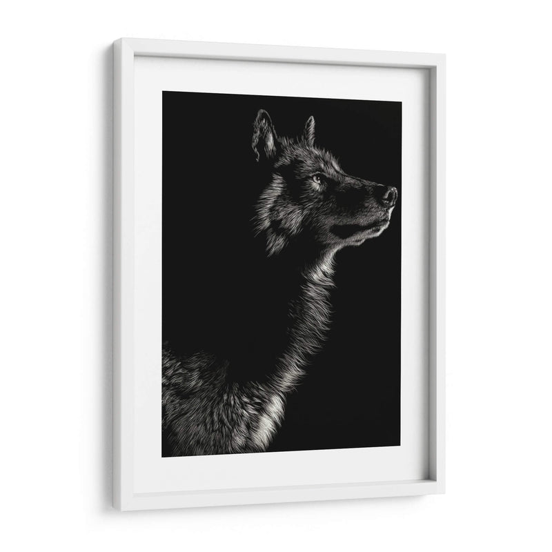 Scratchboard Wolf Ii - Julie T. Chapman | Cuadro decorativo de Canvas Lab