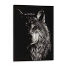 Scratchboard Wolf Iii - Julie T. Chapman | Cuadro decorativo de Canvas Lab