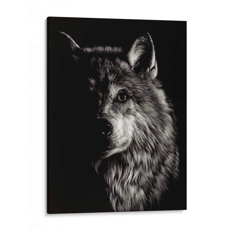 Scratchboard Wolf Iii - Julie T. Chapman | Cuadro decorativo de Canvas Lab