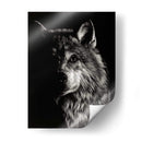 Scratchboard Wolf Iii - Julie T. Chapman | Cuadro decorativo de Canvas Lab