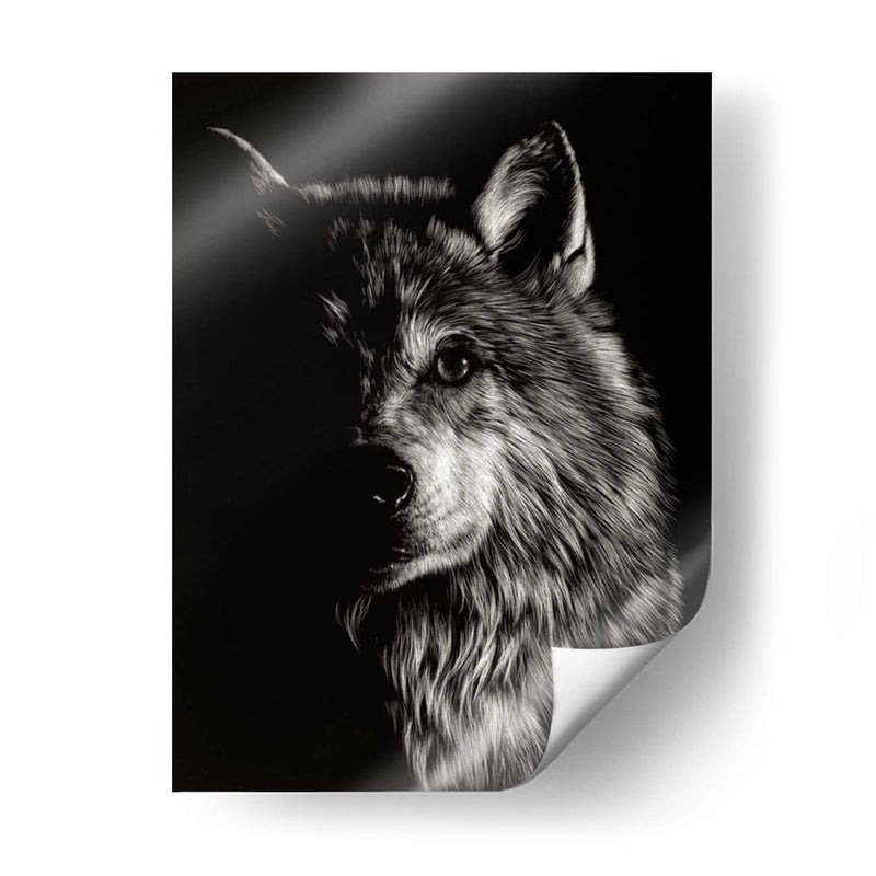 Scratchboard Wolf Iii - Julie T. Chapman | Cuadro decorativo de Canvas Lab