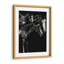 Scratchboard Blaze Buddies - Julie T. Chapman | Cuadro decorativo de Canvas Lab