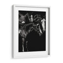 Scratchboard Blaze Buddies - Julie T. Chapman | Cuadro decorativo de Canvas Lab