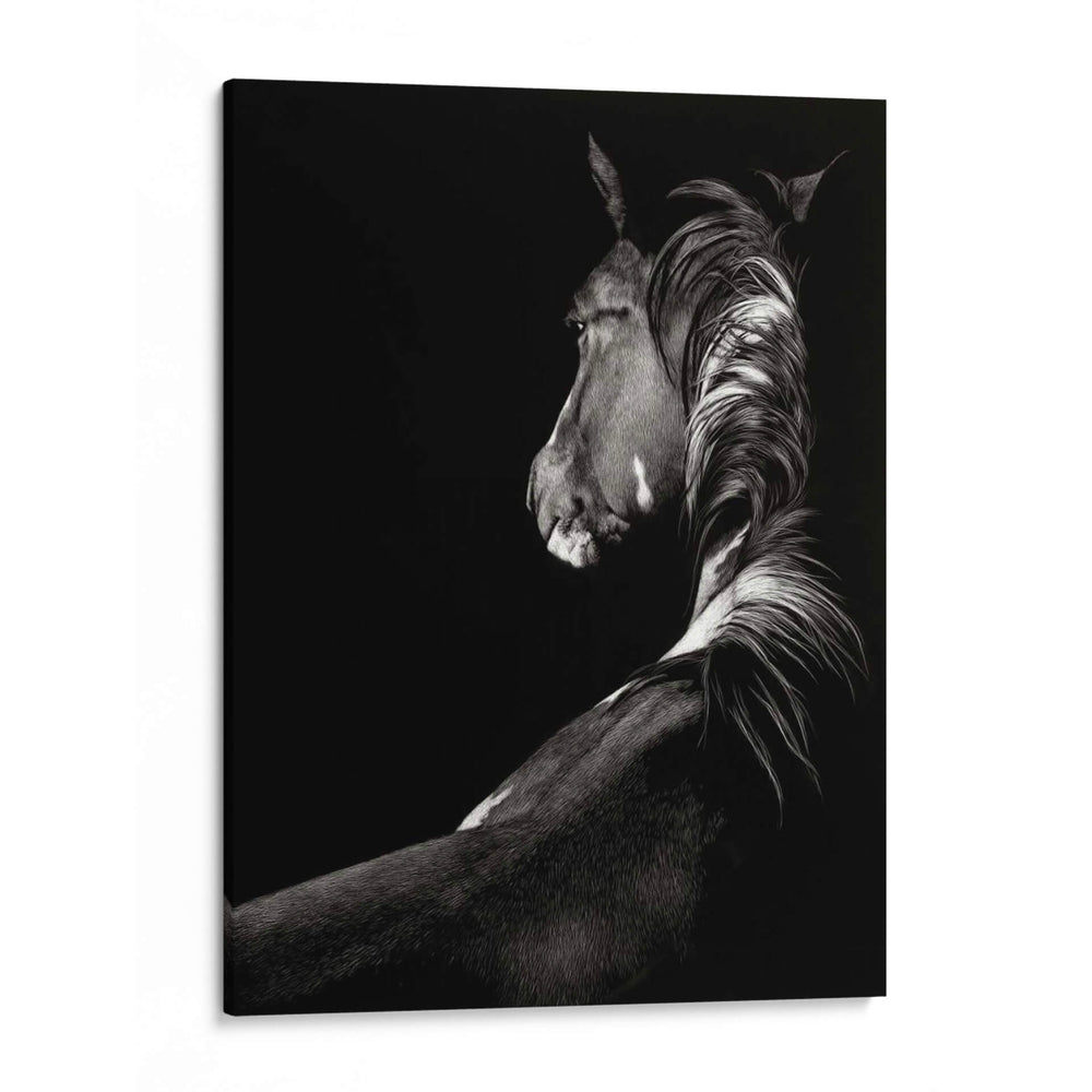 Scratchboard Sarstruck - Julie T. Chapman | Cuadro decorativo de Canvas Lab