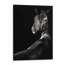 Scratchboard Sarstruck - Julie T. Chapman | Cuadro decorativo de Canvas Lab