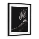 Scratchboard Sarstruck - Julie T. Chapman | Cuadro decorativo de Canvas Lab