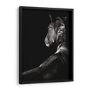 Scratchboard Sarstruck - Julie T. Chapman | Cuadro decorativo de Canvas Lab