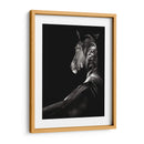 Scratchboard Sarstruck - Julie T. Chapman | Cuadro decorativo de Canvas Lab