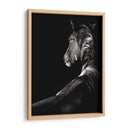 Scratchboard Sarstruck - Julie T. Chapman | Cuadro decorativo de Canvas Lab
