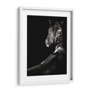 Scratchboard Sarstruck - Julie T. Chapman | Cuadro decorativo de Canvas Lab