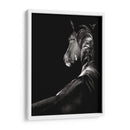 Scratchboard Sarstruck - Julie T. Chapman | Cuadro decorativo de Canvas Lab
