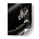 Scratchboard Sarstruck - Julie T. Chapman | Cuadro decorativo de Canvas Lab