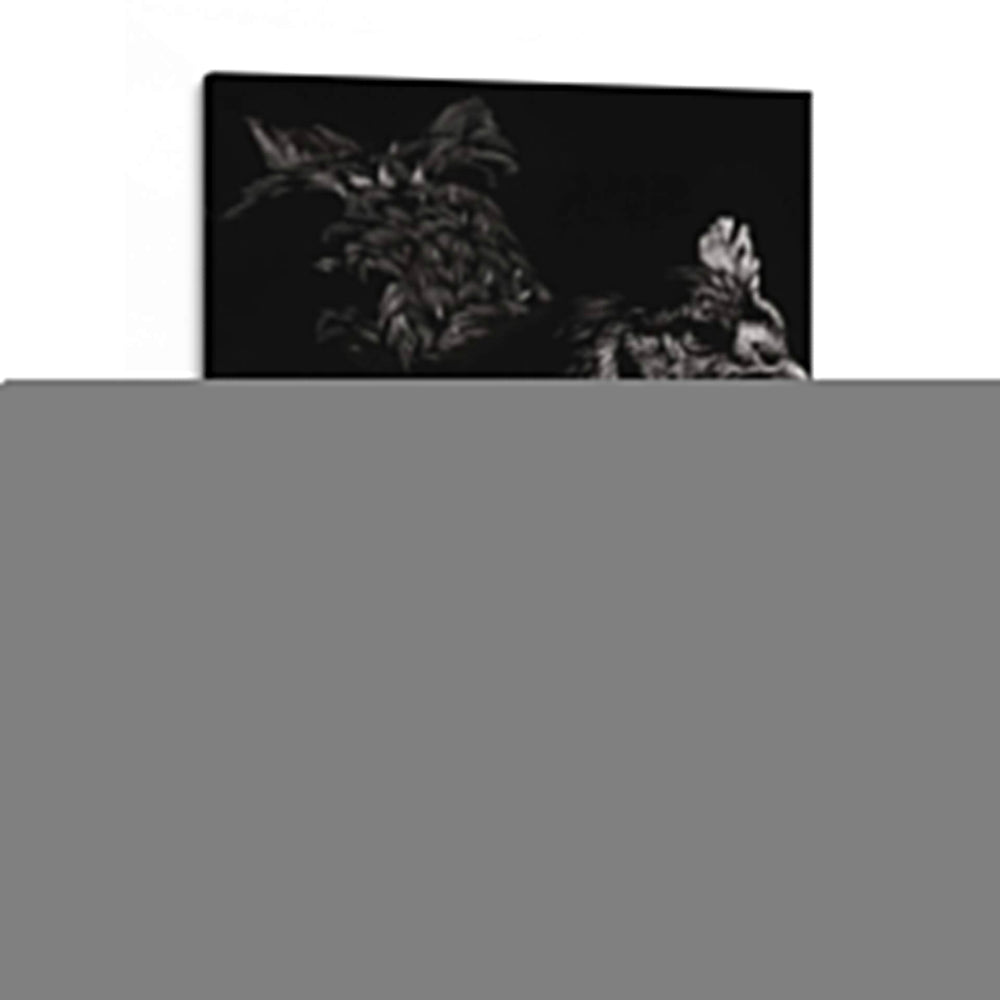 Scratchboard Skeptics - Julie T. Chapman | Cuadro decorativo de Canvas Lab
