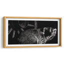 Scratchboard Tenaz - Julie T. Chapman | Cuadro decorativo de Canvas Lab