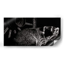 Scratchboard Tenaz - Julie T. Chapman | Cuadro decorativo de Canvas Lab