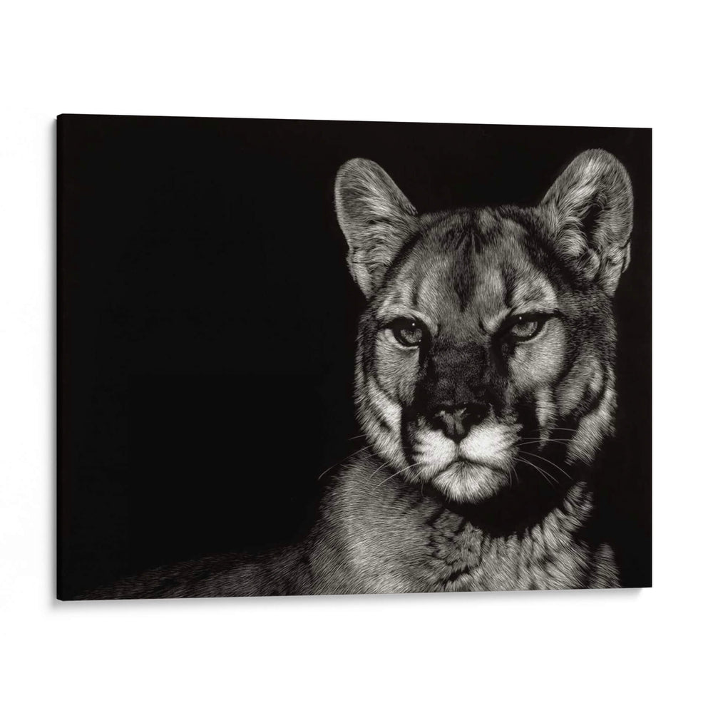 Noche De Scratchboard - Julie T. Chapman | Cuadro decorativo de Canvas Lab