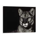 Noche De Scratchboard - Julie T. Chapman | Cuadro decorativo de Canvas Lab