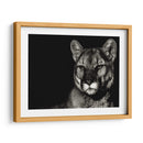Noche De Scratchboard - Julie T. Chapman | Cuadro decorativo de Canvas Lab