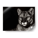 Noche De Scratchboard - Julie T. Chapman | Cuadro decorativo de Canvas Lab