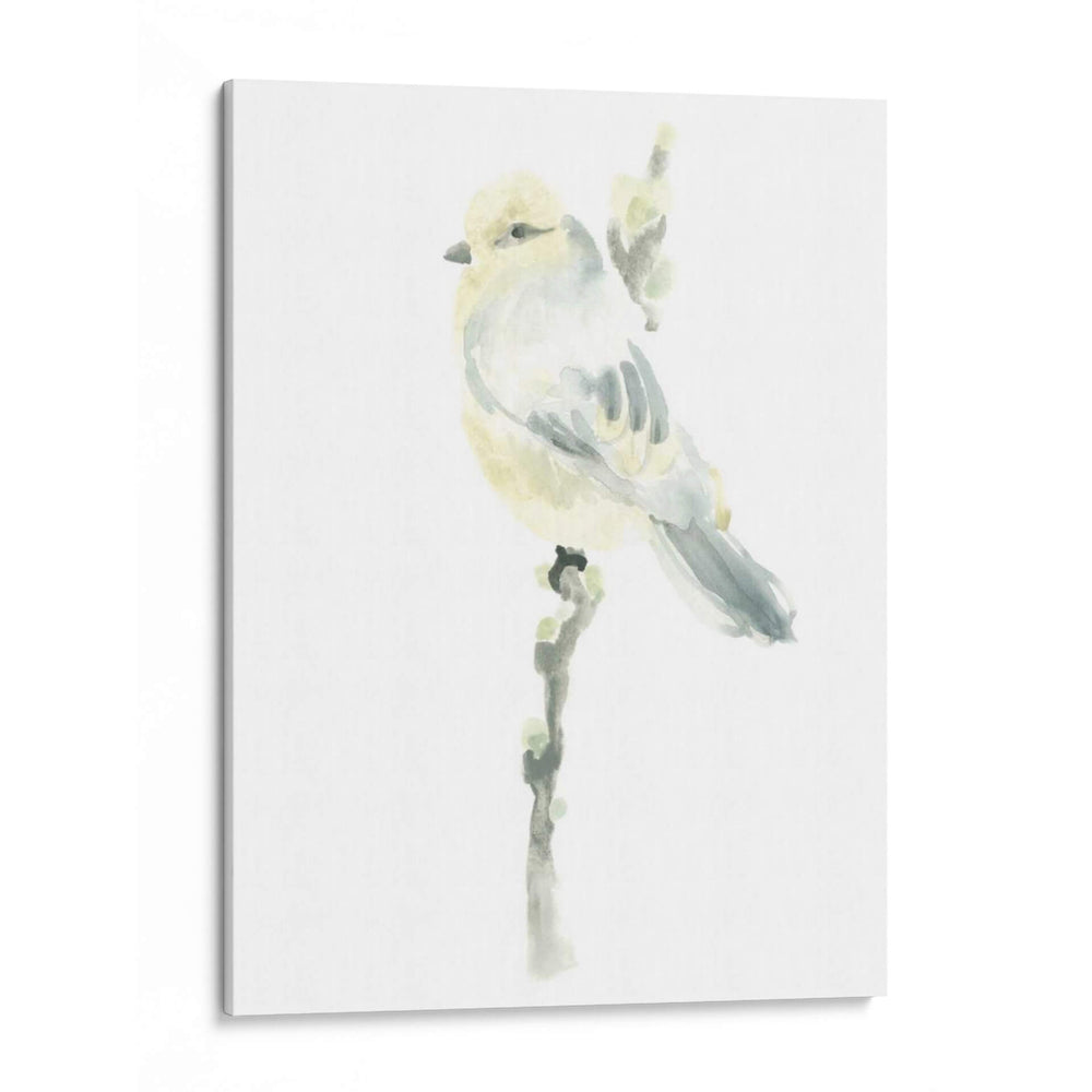 Impresiones Aviares I - June Erica Vess | Cuadro decorativo de Canvas Lab