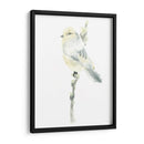 Impresiones Aviares I - June Erica Vess | Cuadro decorativo de Canvas Lab