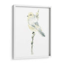 Impresiones Aviares I - June Erica Vess | Cuadro decorativo de Canvas Lab