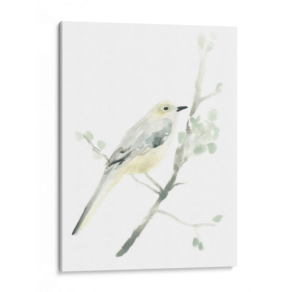 Impresiones Aviares Ii - June Erica Vess | Cuadro decorativo de Canvas Lab