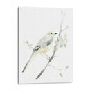 Impresiones Aviares Ii - June Erica Vess | Cuadro decorativo de Canvas Lab