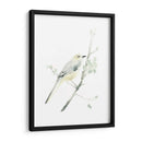 Impresiones Aviares Ii - June Erica Vess | Cuadro decorativo de Canvas Lab