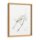 Impresiones Aviares Ii - June Erica Vess | Cuadro decorativo de Canvas Lab