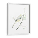 Impresiones Aviares Ii - June Erica Vess | Cuadro decorativo de Canvas Lab