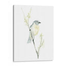 Impresiones Aviares Iii - June Erica Vess | Cuadro decorativo de Canvas Lab