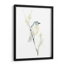 Impresiones Aviares Iii - June Erica Vess | Cuadro decorativo de Canvas Lab