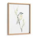 Impresiones Aviares Iii - June Erica Vess | Cuadro decorativo de Canvas Lab