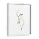 Impresiones Aviares Iii - June Erica Vess | Cuadro decorativo de Canvas Lab