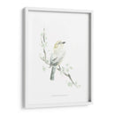 Impresiones Aviares Iv - June Erica Vess | Cuadro decorativo de Canvas Lab