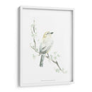 Impresiones Aviares Iv - June Erica Vess | Cuadro decorativo de Canvas Lab